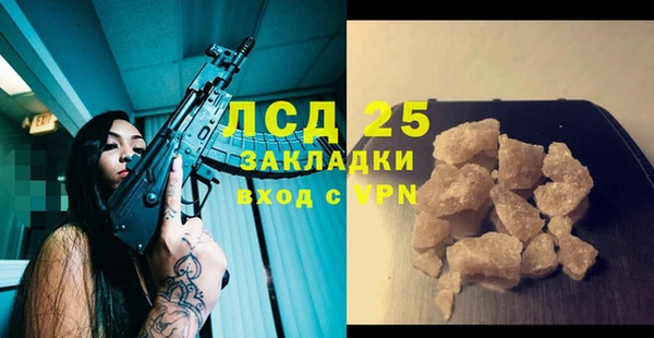 МДПВ Инсар